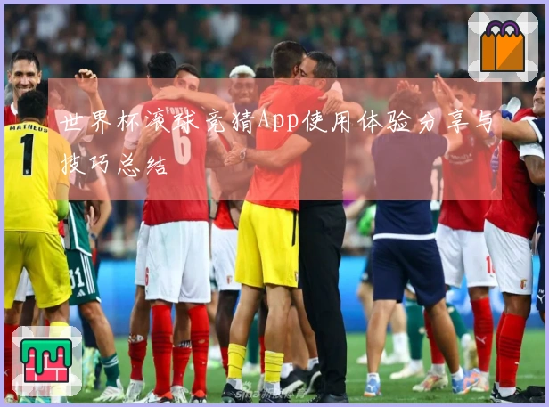 世界杯滚球竞猜App使用体验分享与技巧总结