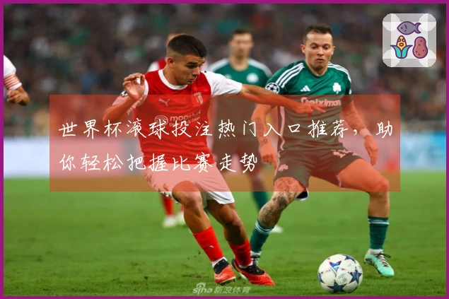 世界杯滚球投注热门入口推荐，助你轻松把握比赛走势