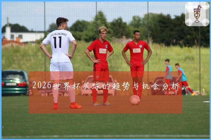 2026世界杯买球的趋势与机会分析