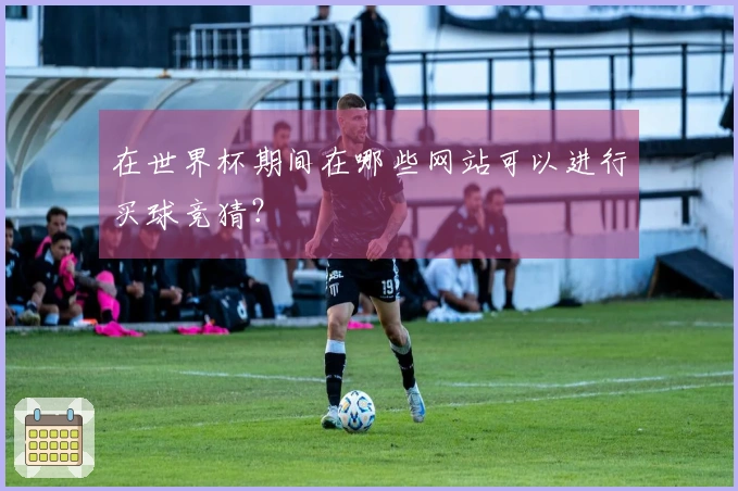 在世界杯期间在哪些网站可以进行买球竞猜？