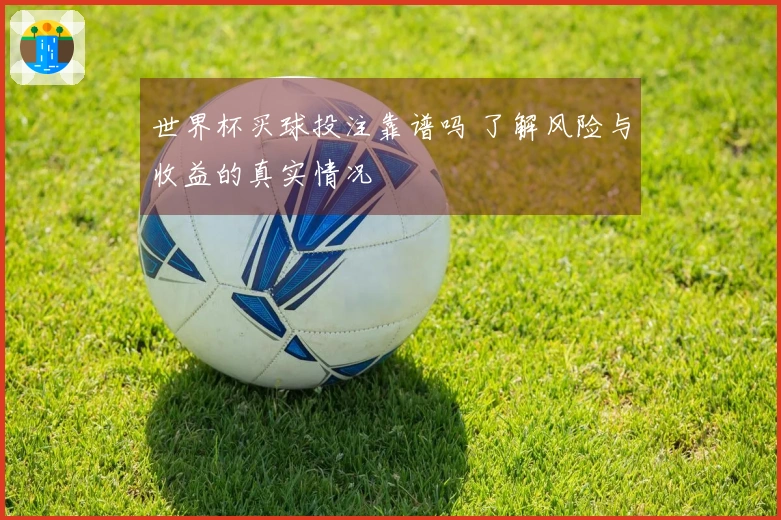 世界杯买球投注靠谱吗 了解风险与收益的真实情况