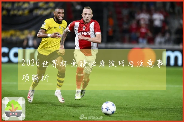 2026世界杯竞猜必看技巧与注意事项解析
