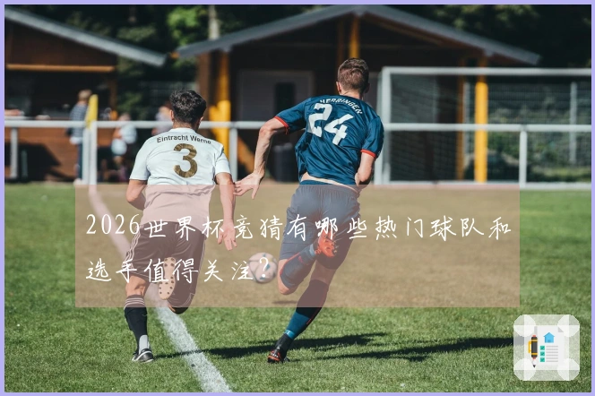 2026世界杯竞猜有哪些热门球队和选手值得关注？