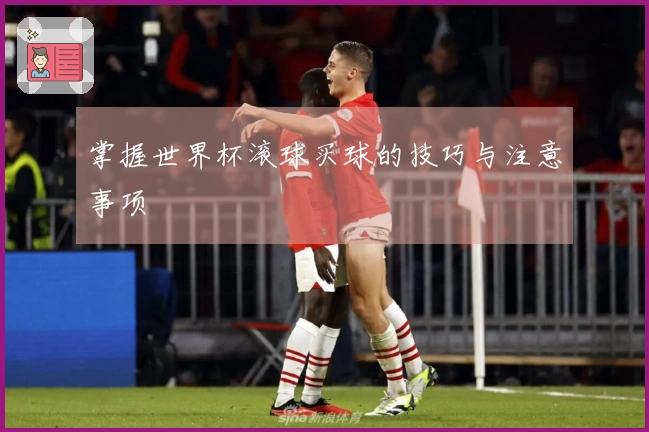 掌握世界杯滚球买球的技巧与注意事项