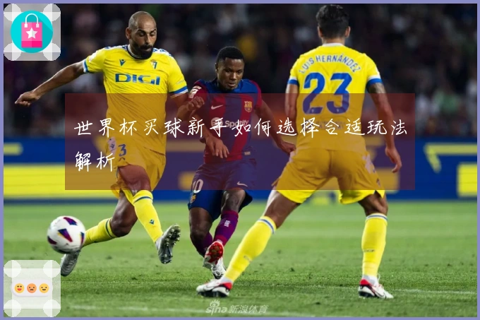 世界杯买球新手如何选择合适玩法解析