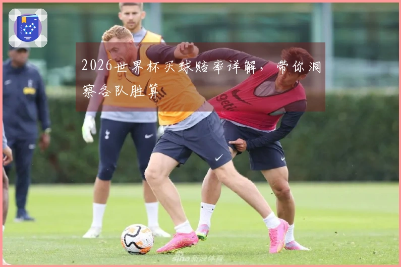 2026世界杯买球赔率详解，带你洞察各队胜算